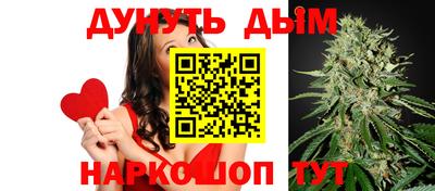 сатива Нальчик