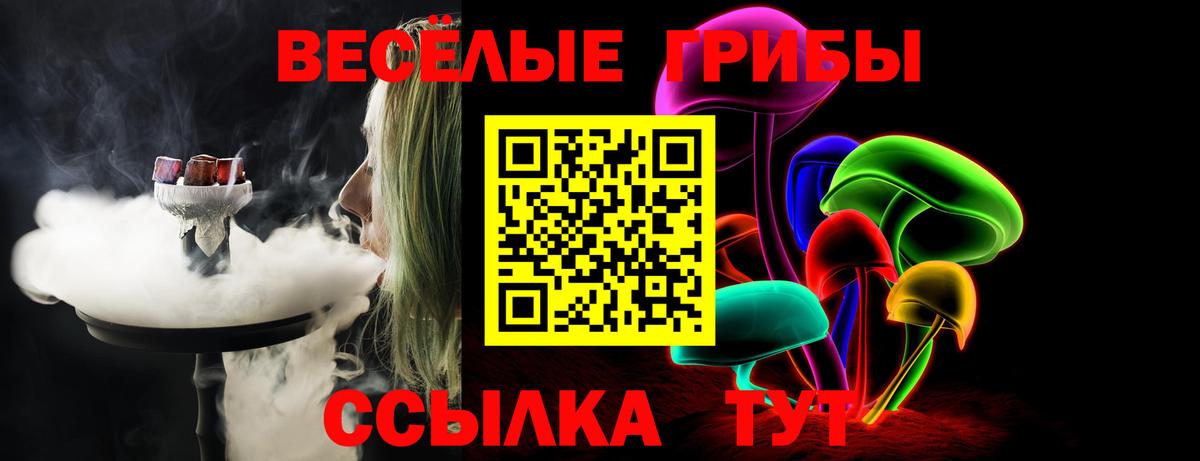 Псилоцибиновые грибы прущие грибы Сызрань